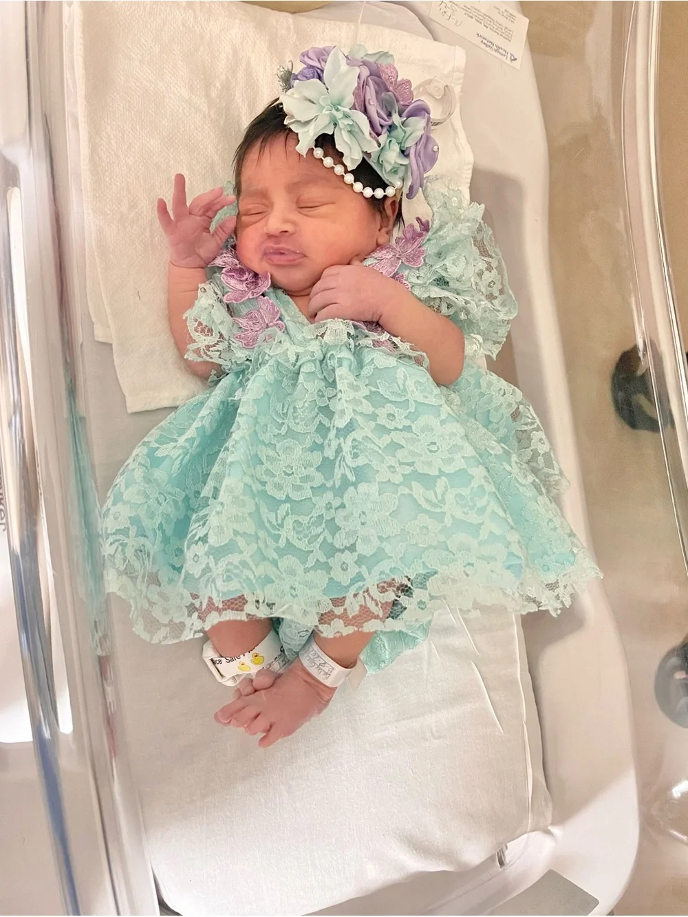 Baby Lace Dress with Purple Floral Accents - Mint